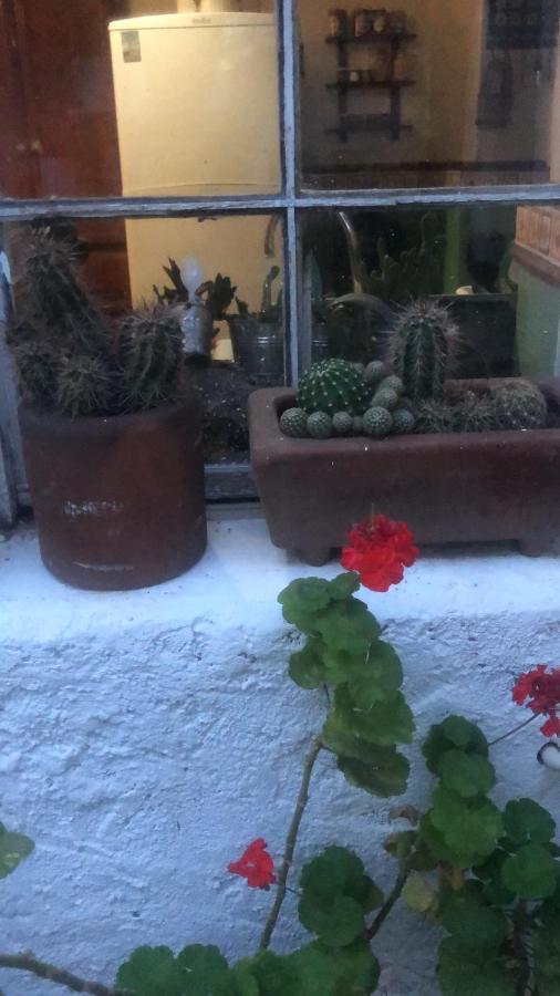 Home Stay Maria Hidalgo del Parral Exterior photo